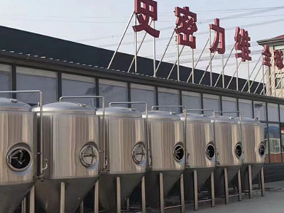 苍南精酿啤酒设备厂—如何判断精酿啤酒设备的密封件需要更换？